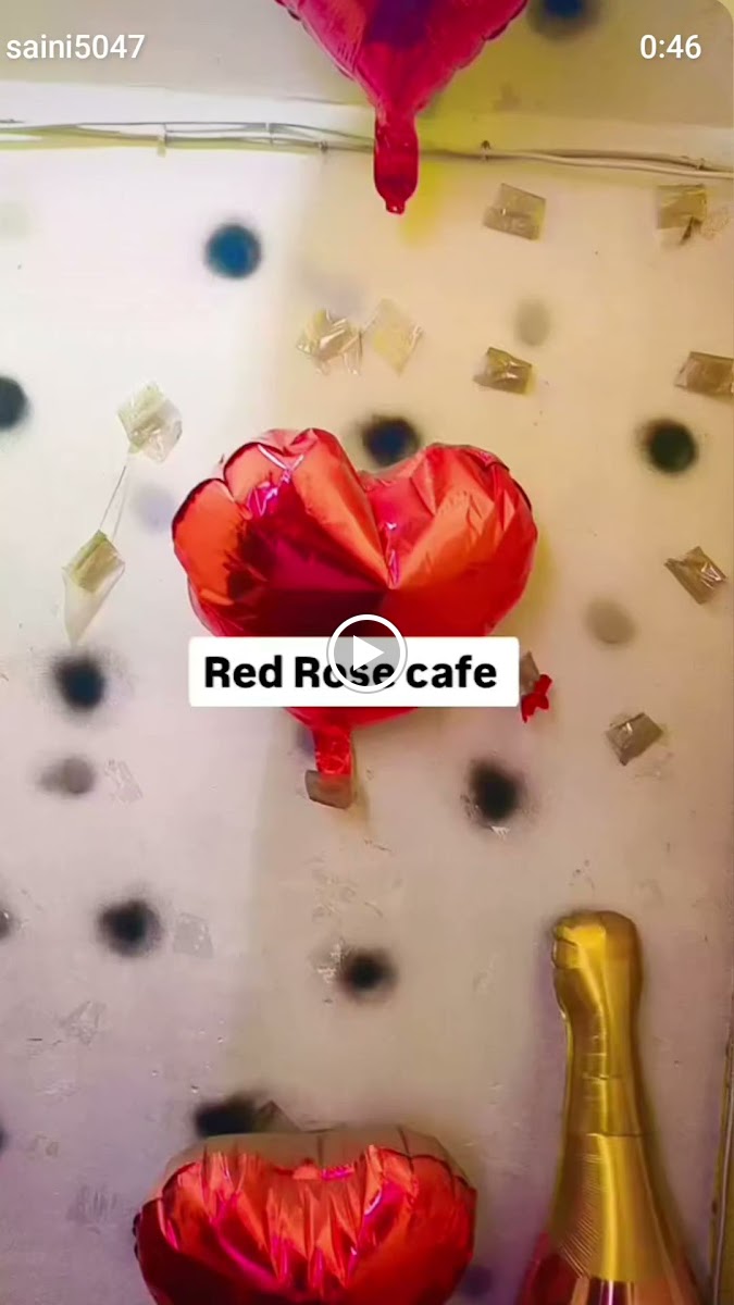 Red rose cafe rewari