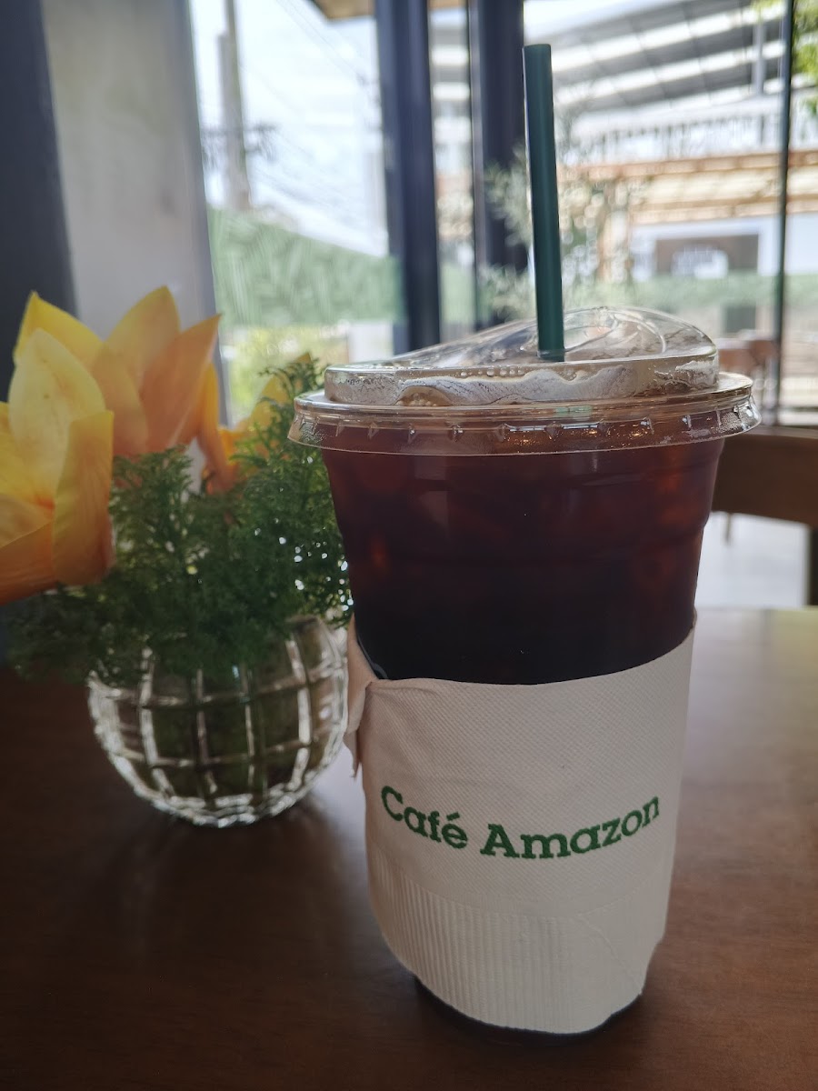 Café Amazon Lake Commune - 3