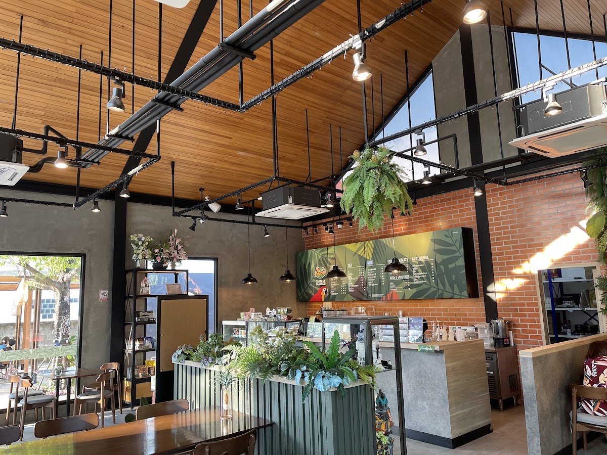 Café Amazon Lake Commune - 4