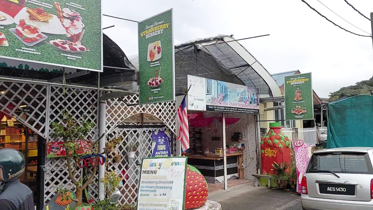 Starzy RZ Agro Farm - 2