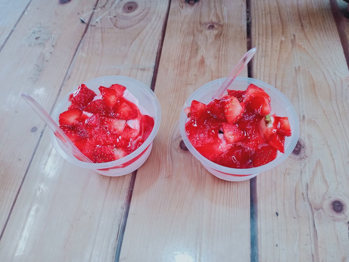 Starzy RZ Agro Farm - 7