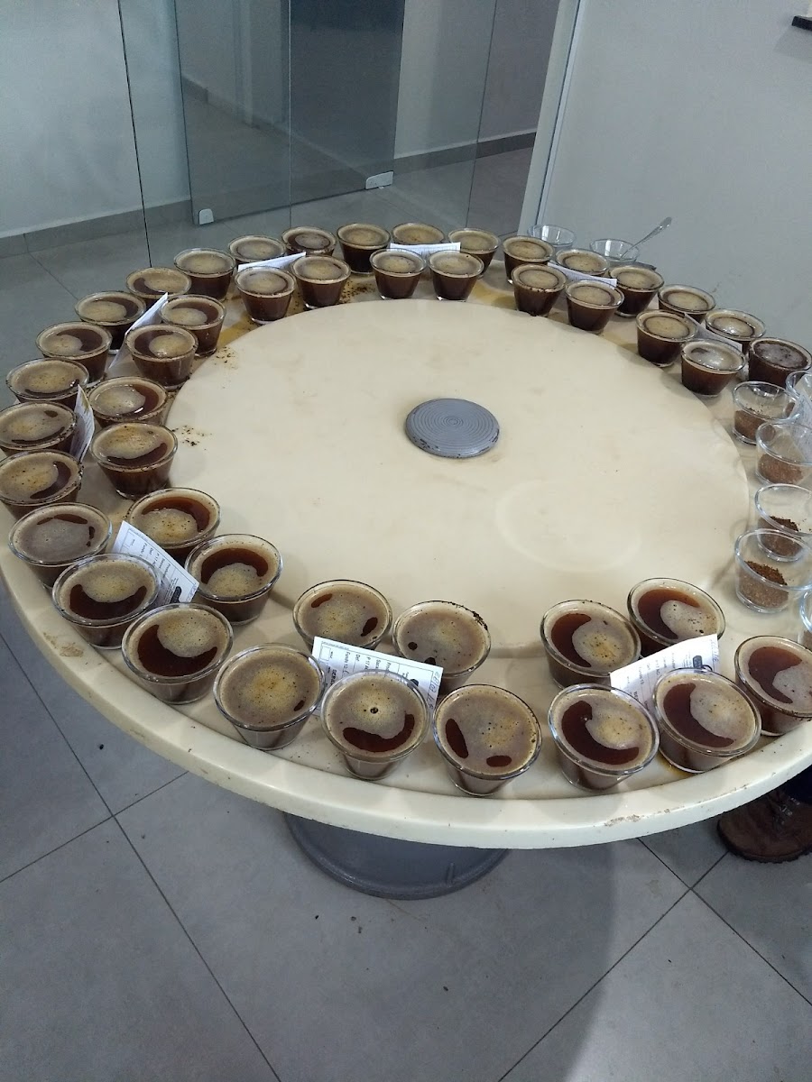 Armazéns Gerais Café Terra de Minas