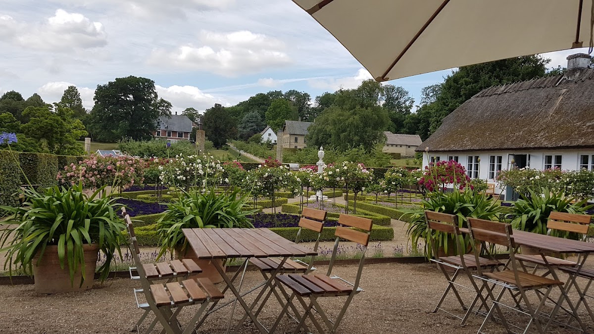 Dronning Louises Tehus