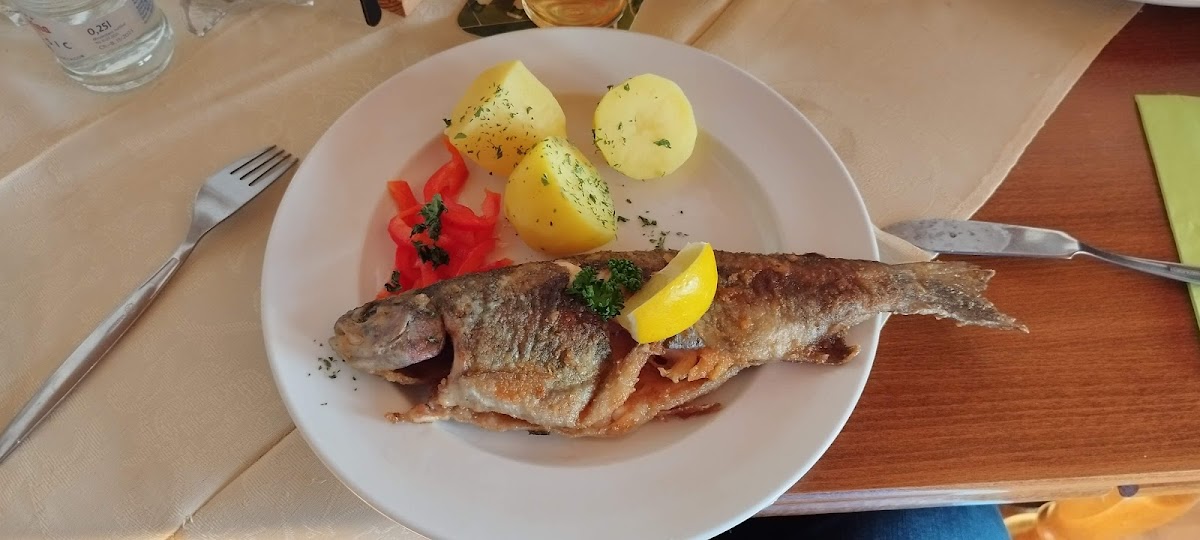 Cafe Pension Forellenhof - 6