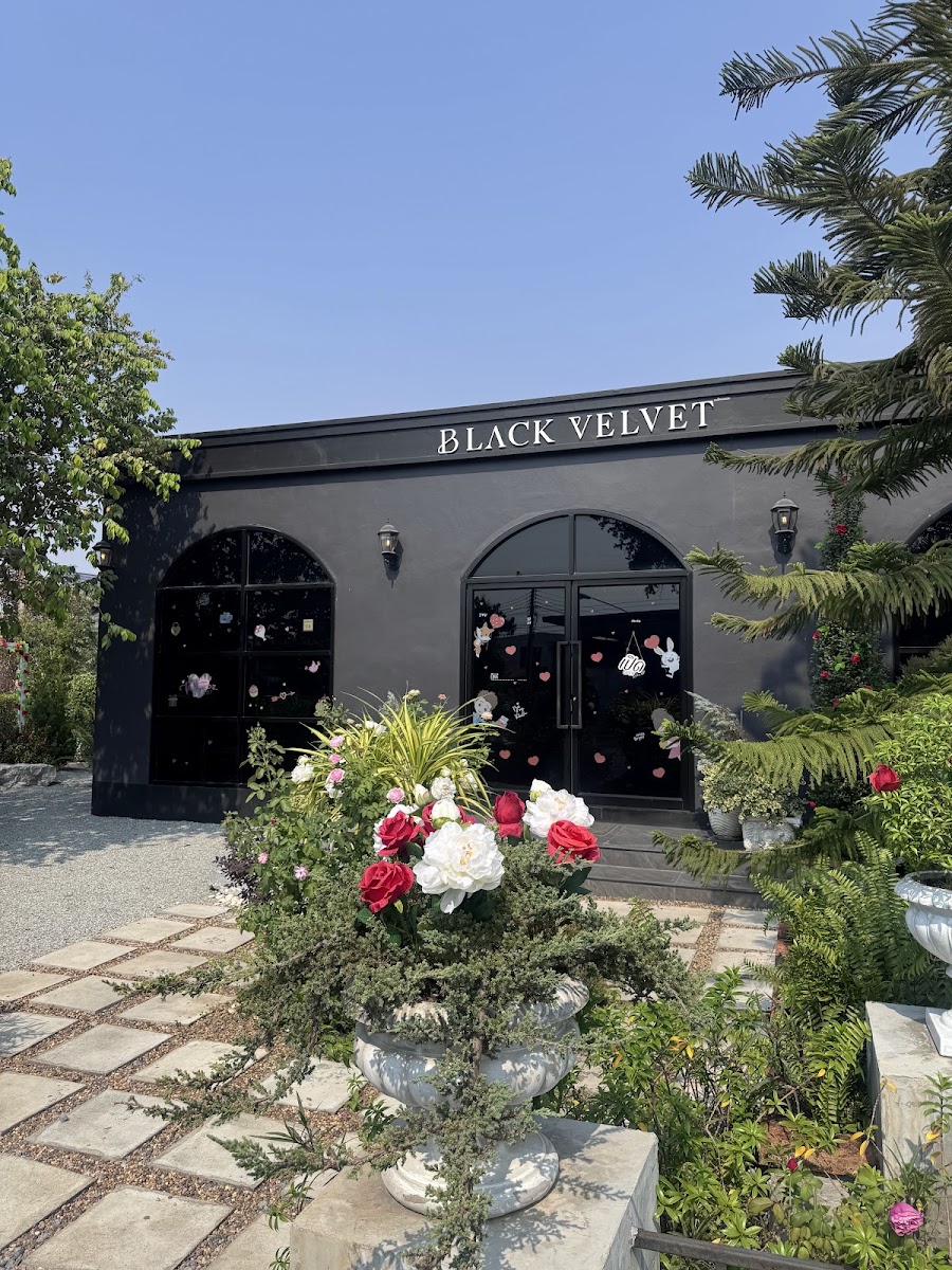 Black Velvet Cafe - 3