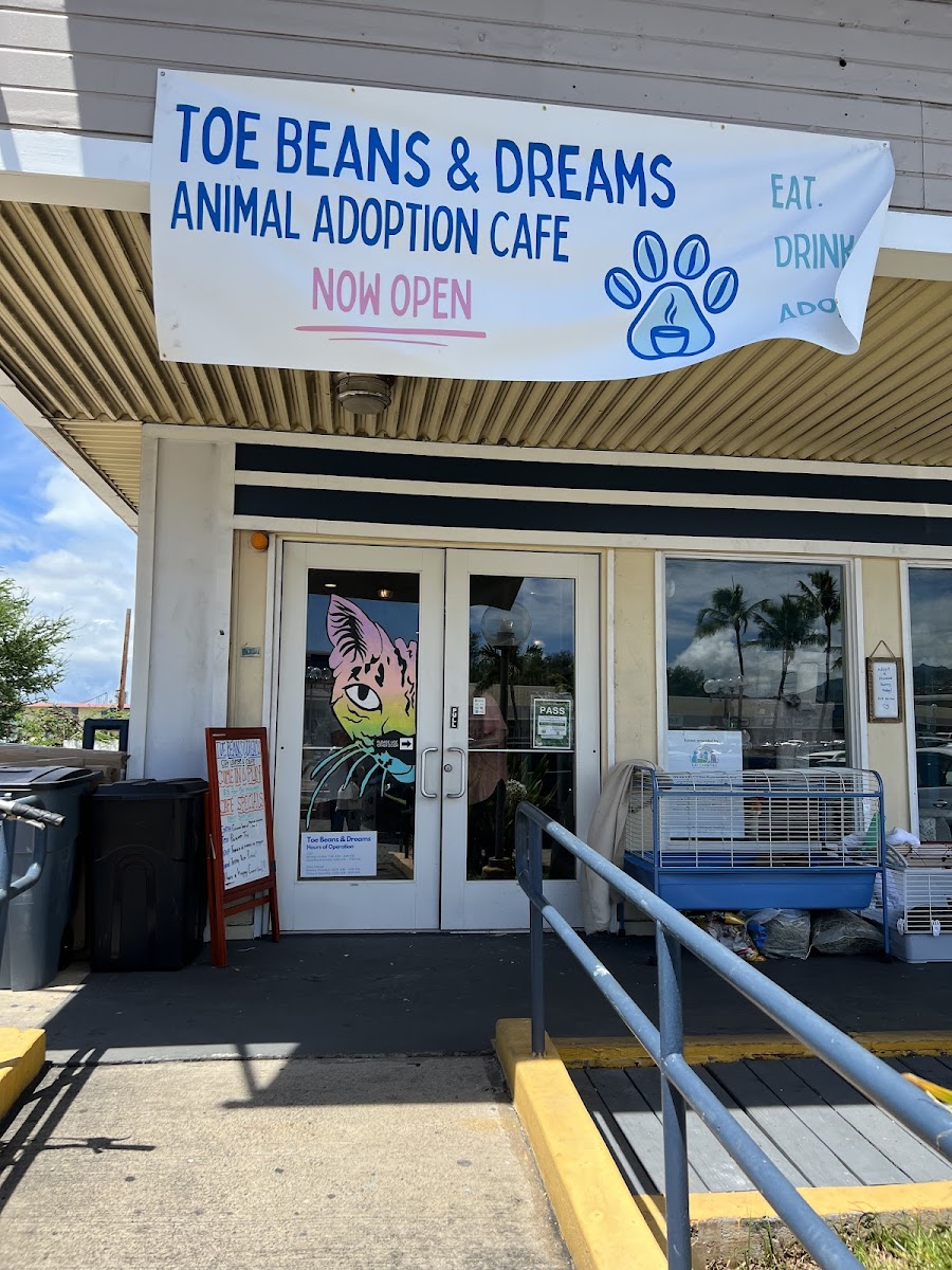 Toe Beans & Dreams Adoption Cafe