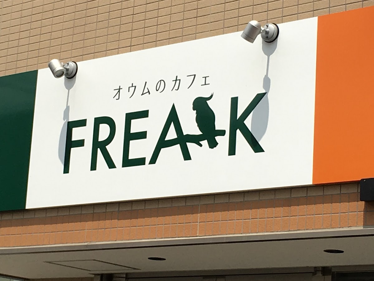 オウムのカフェ FREAK - 4