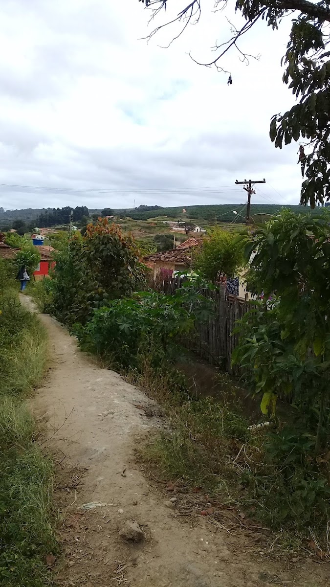 Torrefação Bia - 2