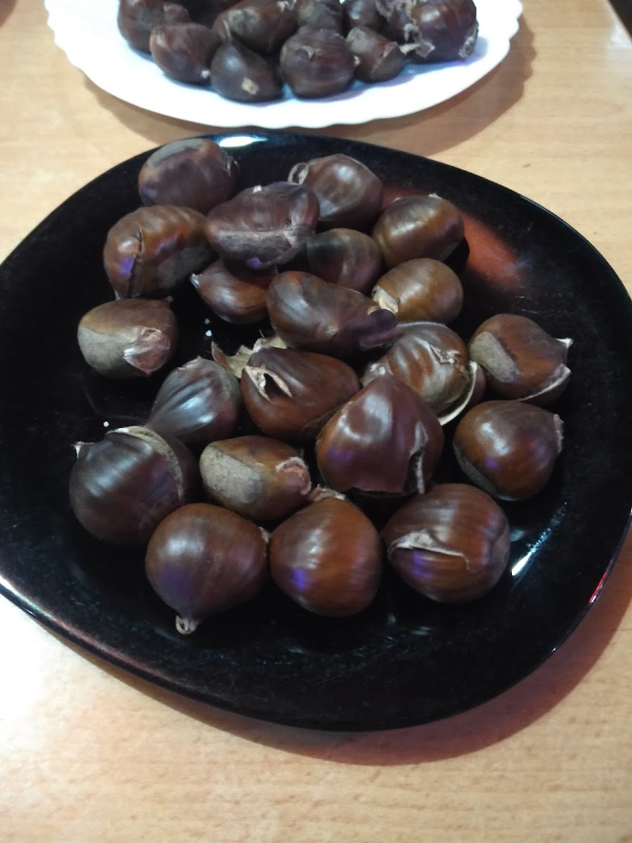 Helvimar Café Bar - 5