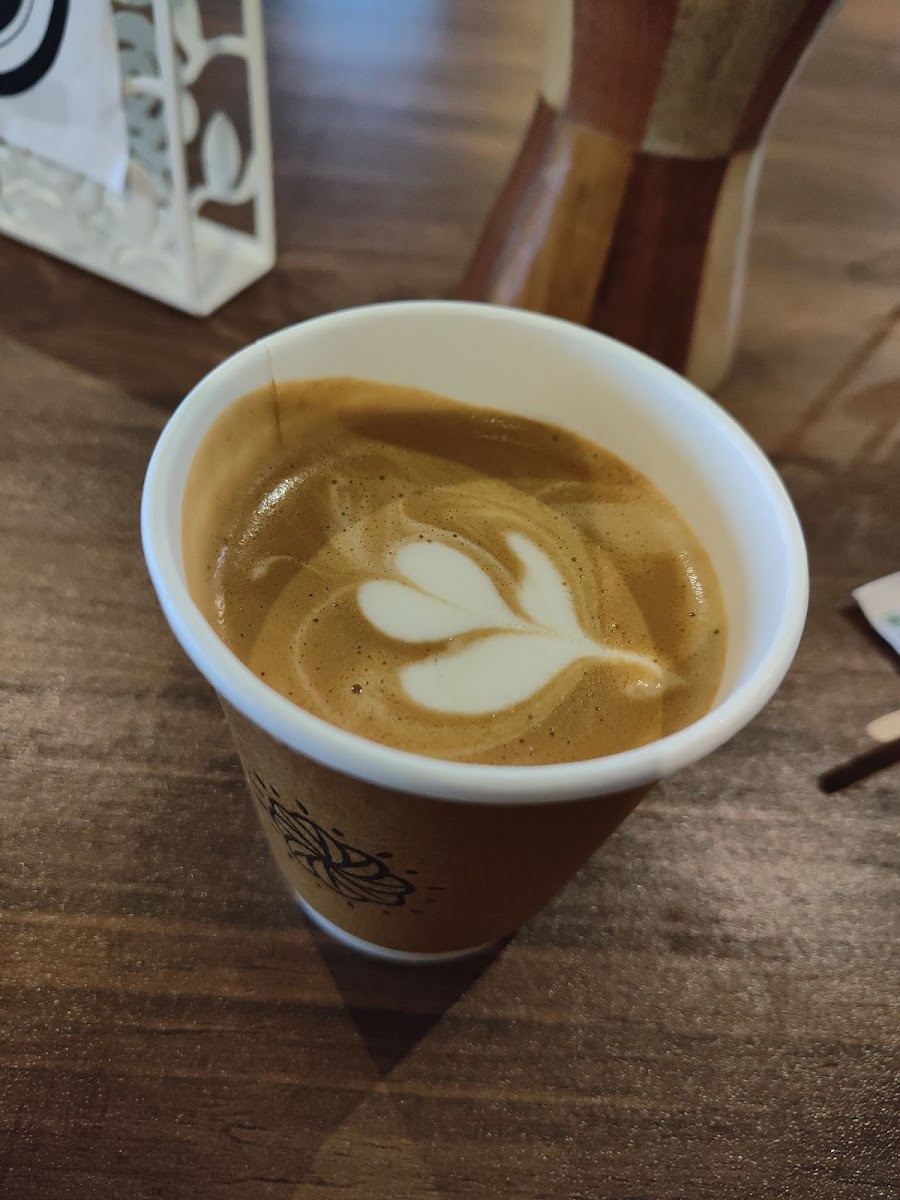 Apricus Coffee House & Roasters - 6