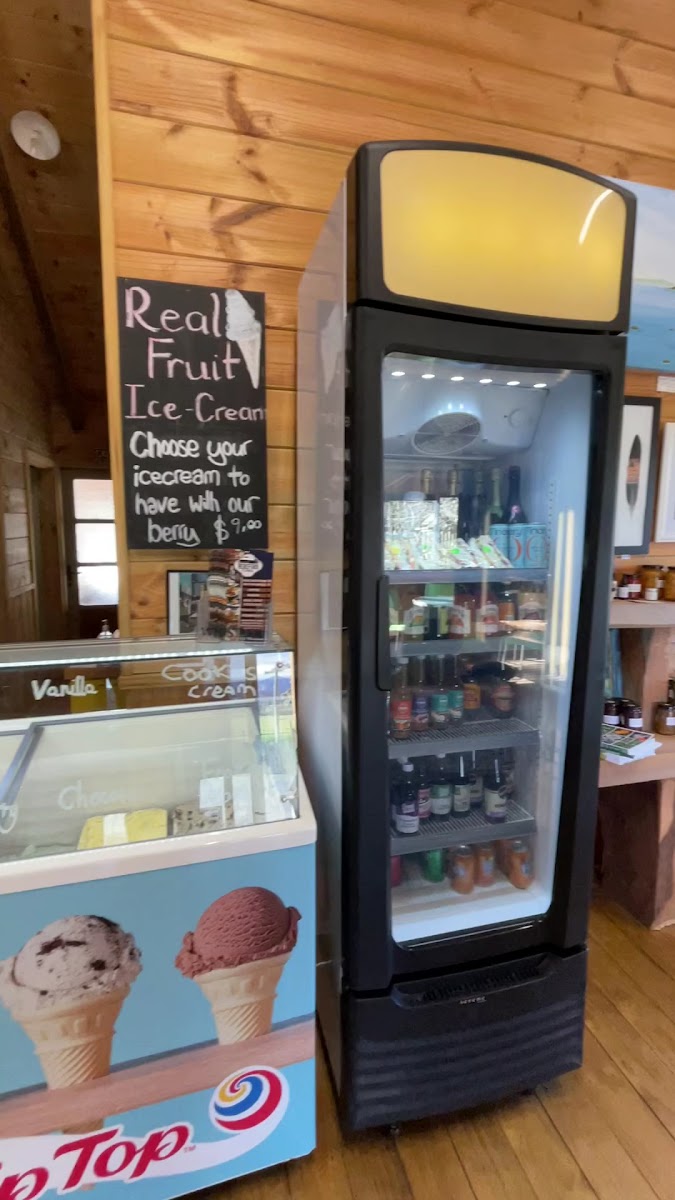 Hereford 'n' a pickle - 2