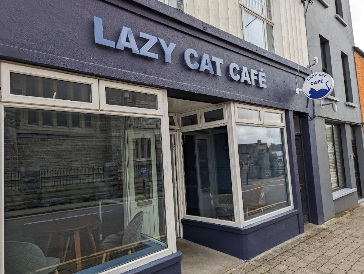 Lazy Cat Cafe