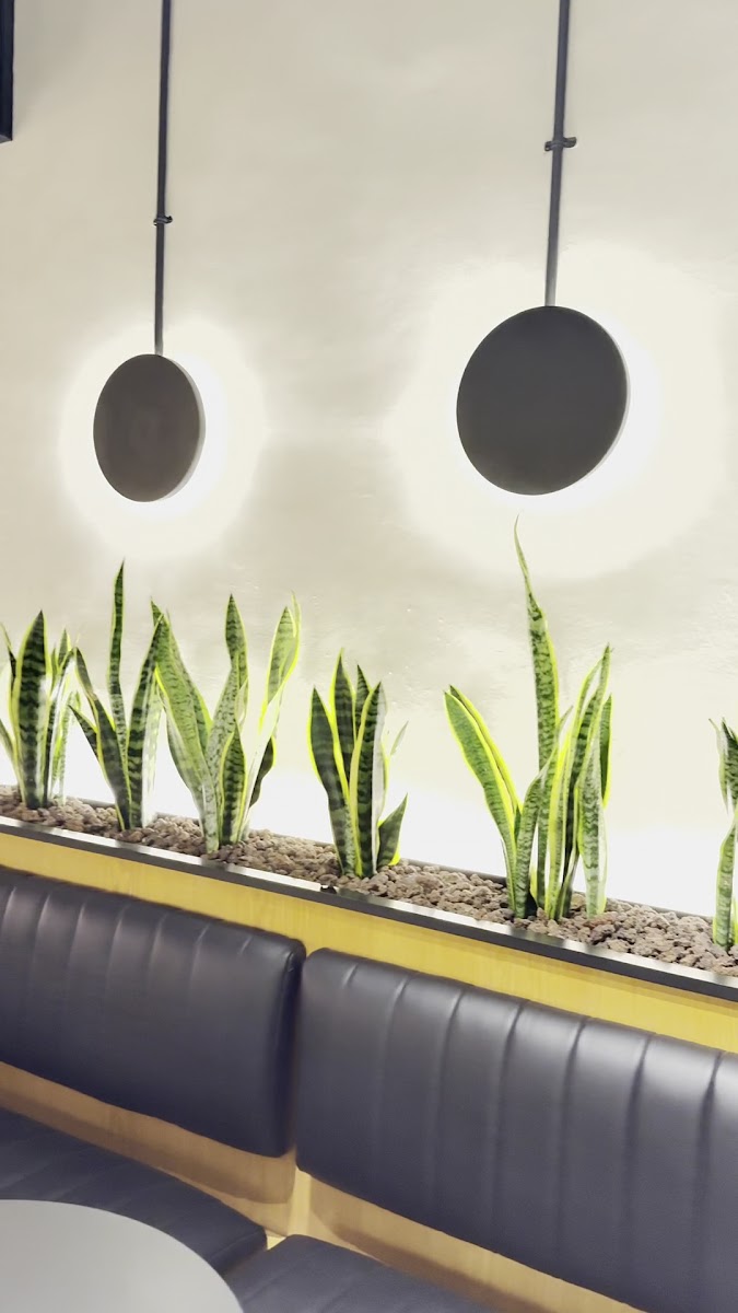 DOT Coffee Abdoun - 2