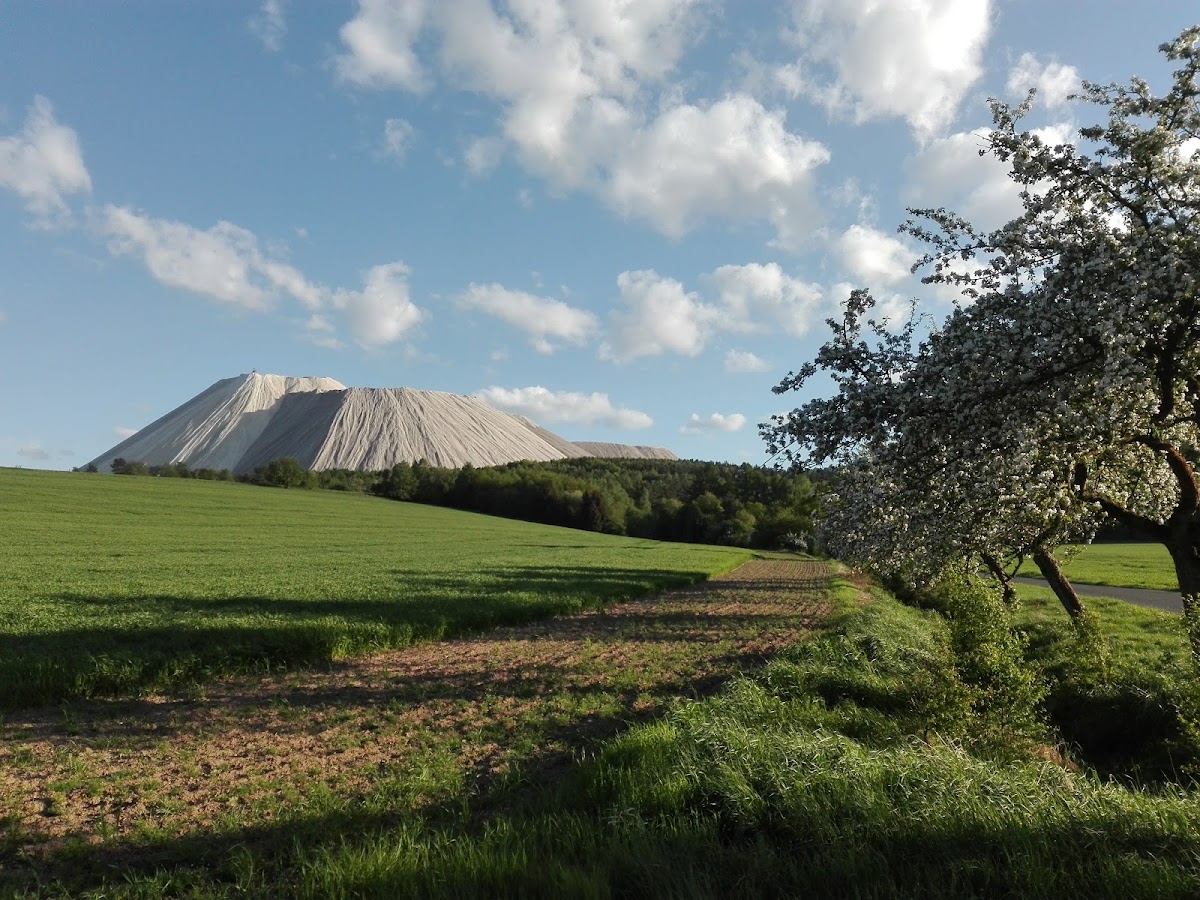 Dankmarshäuser Waldhaus
