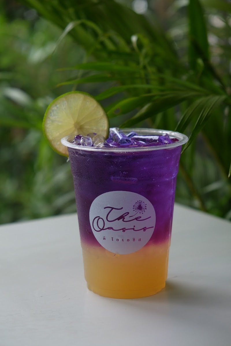 The oasis cafe and studio - 6