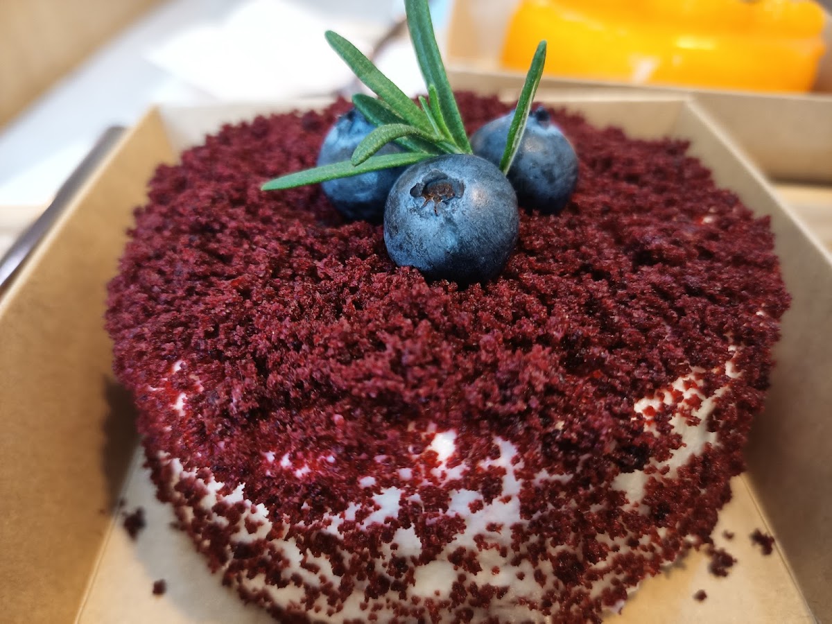 The oasis cafe and studio - 9