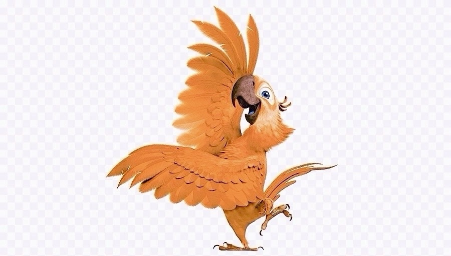 Colmado y Cafetín Kataleya