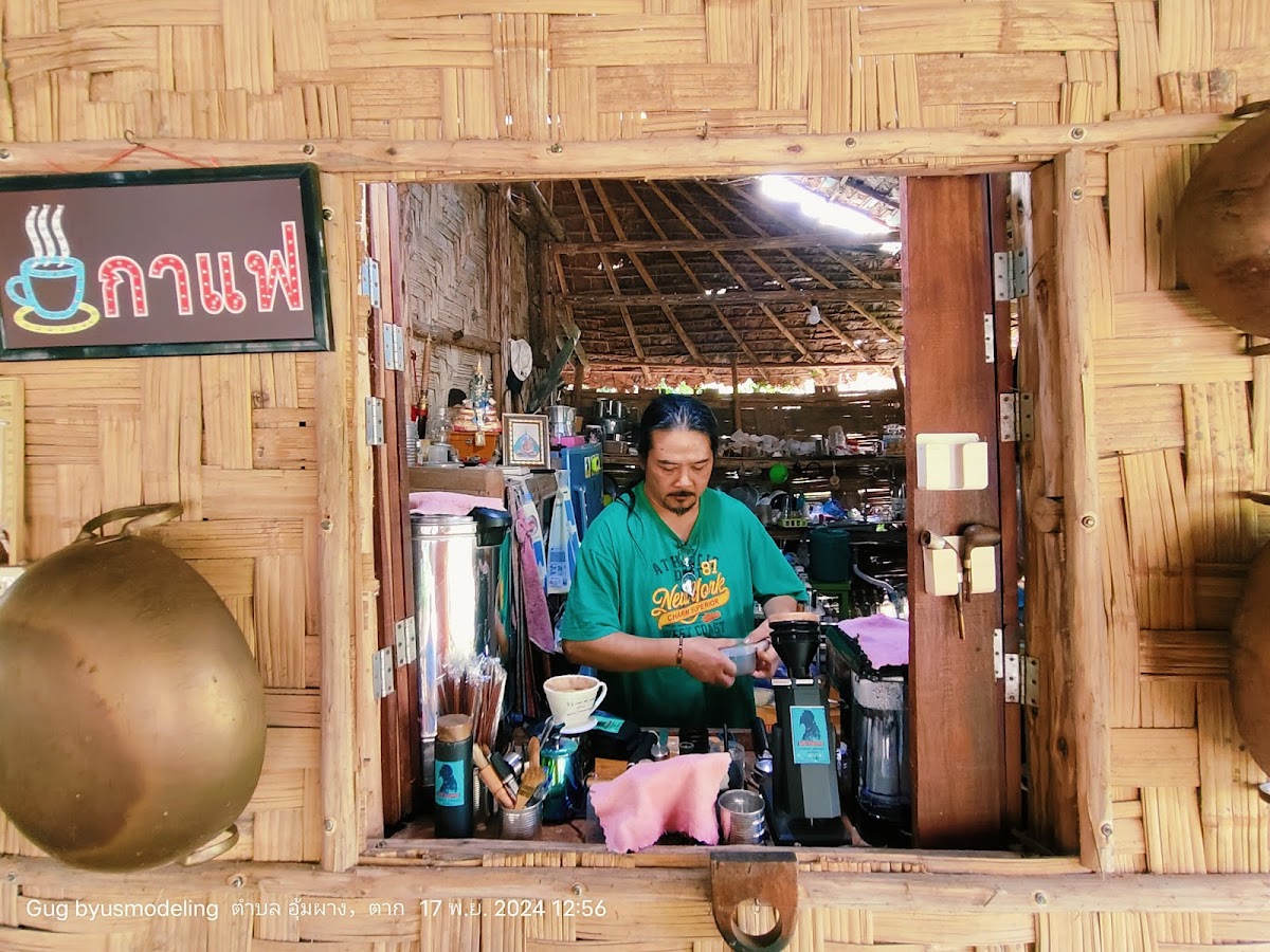 กาแฟป่า Umphang