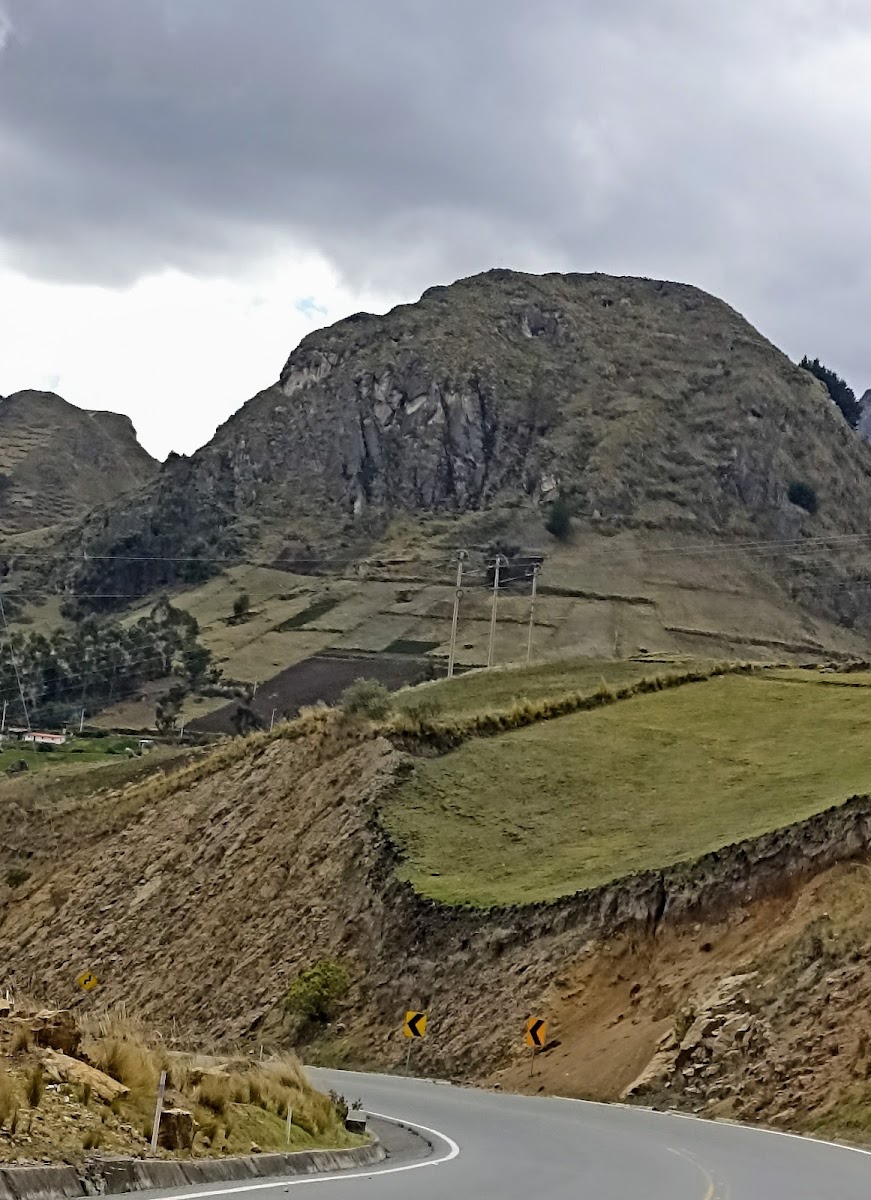 Cafetería Mamá Chavy - 3