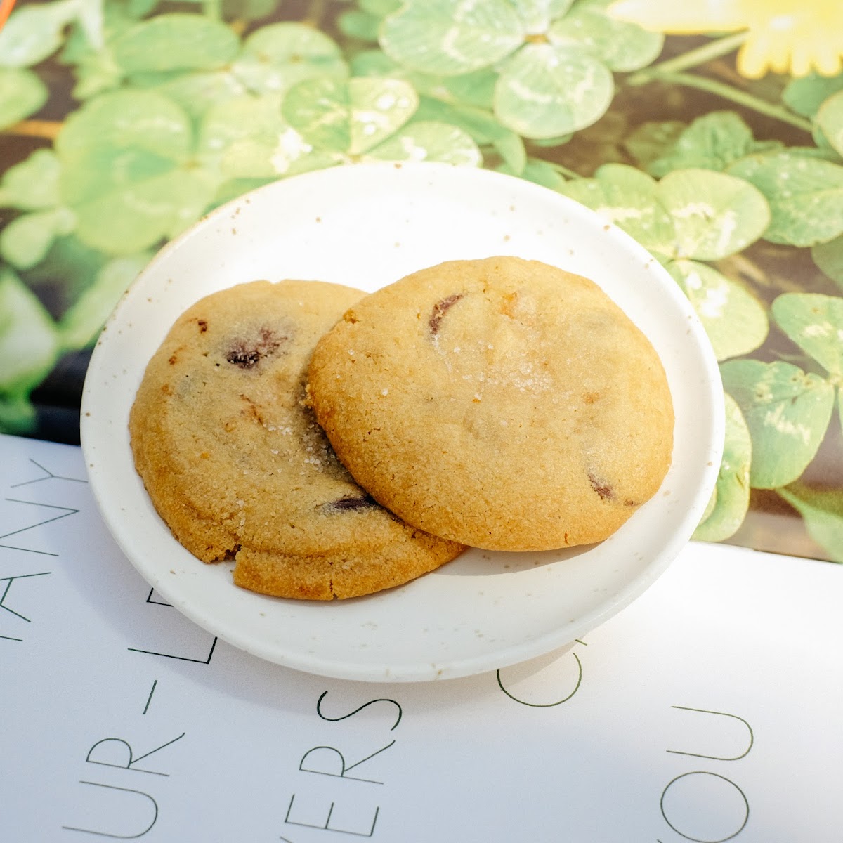 BEL by Building Coffee - 4