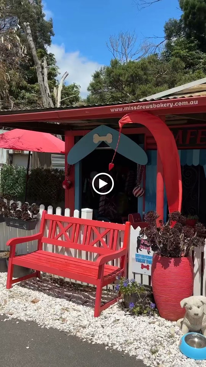 Miss Drew's Dog Cafe - 2