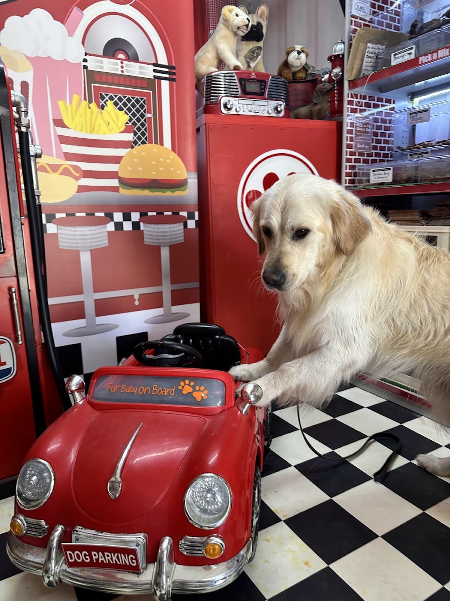 Miss Drew's Dog Cafe - 4