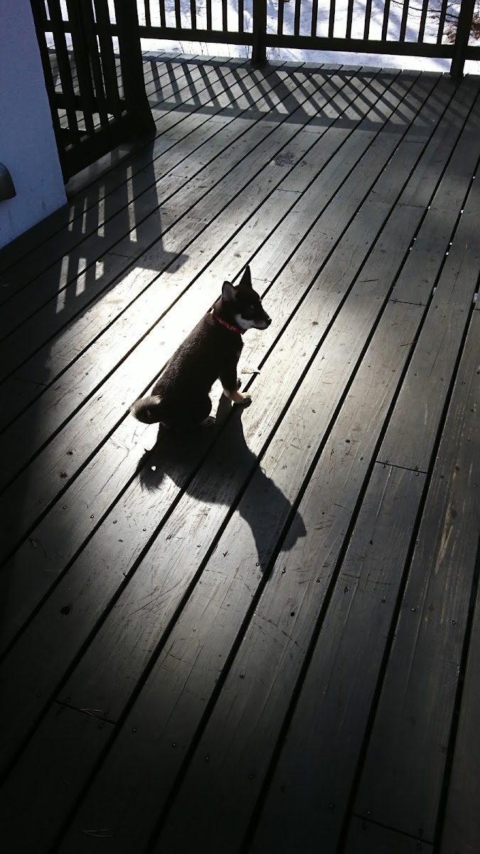 CAFE魔法屋Jin 八ヶ岳ガレット - 4