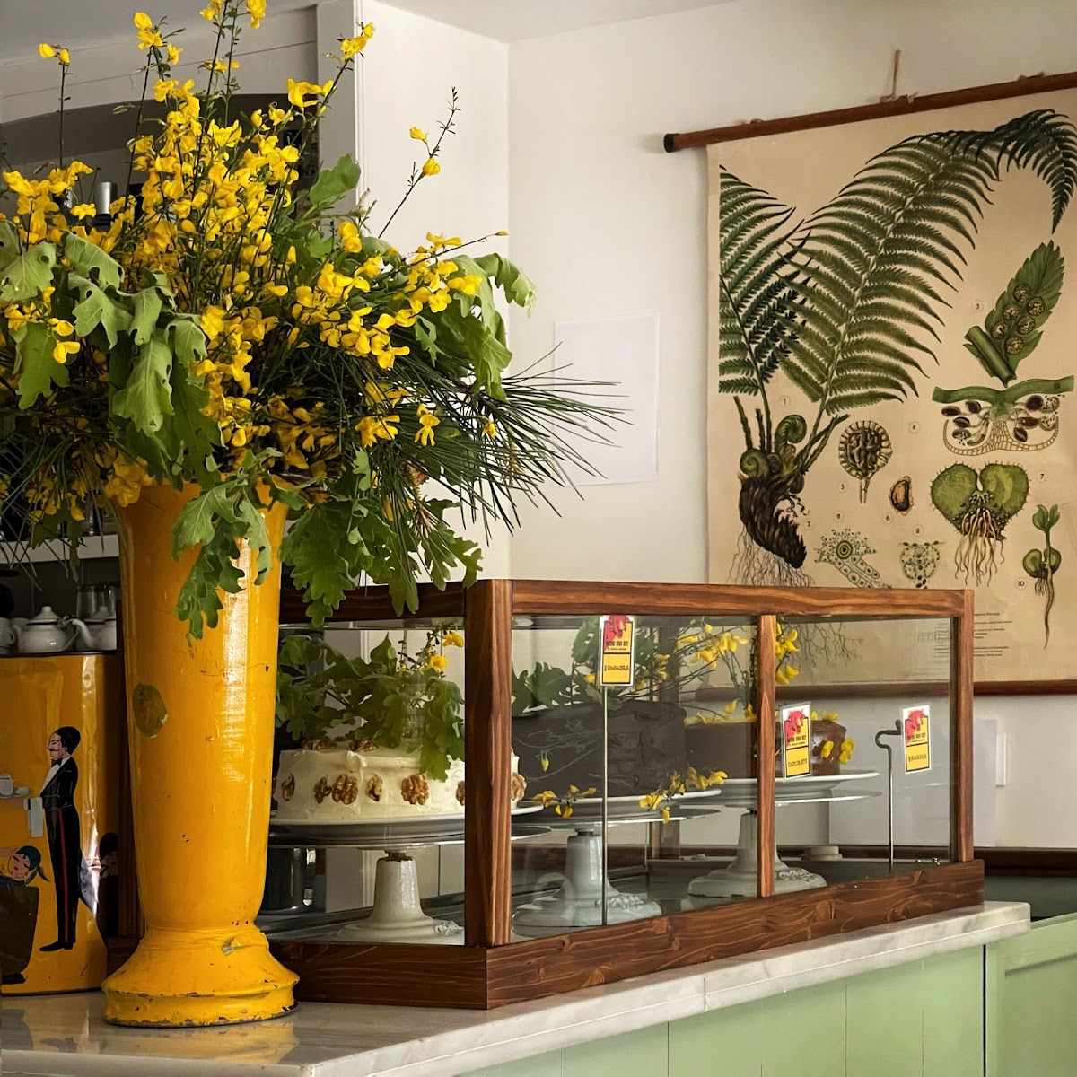 Antigua Delicatessen