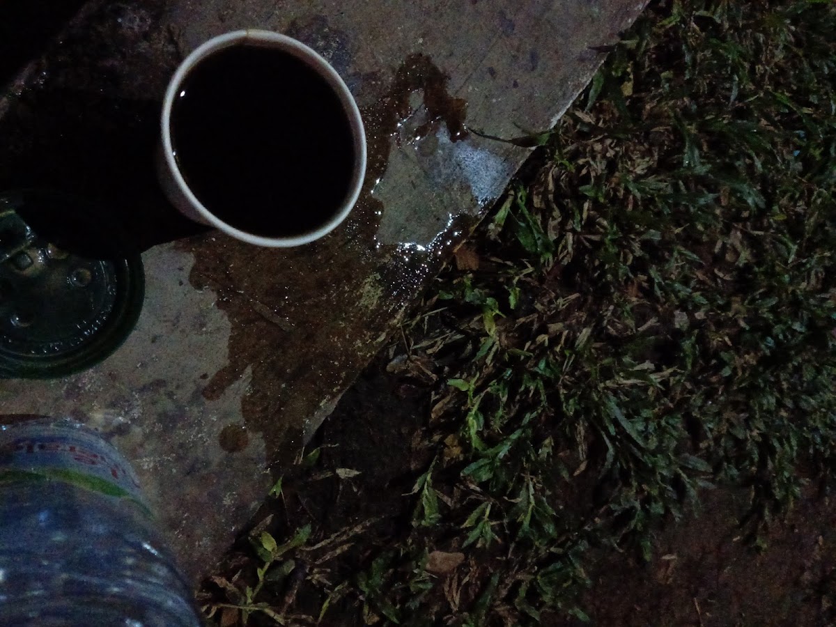 Point Cafe KM 72B - 8