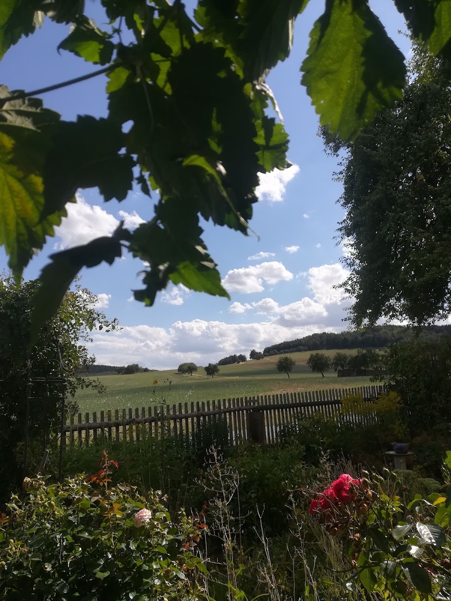 Hofcafe 'Zur Lachtaube' - 4