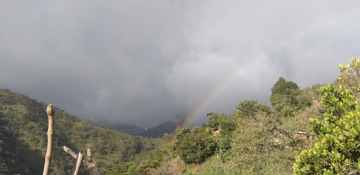 Tienda Las Amarillas - 3