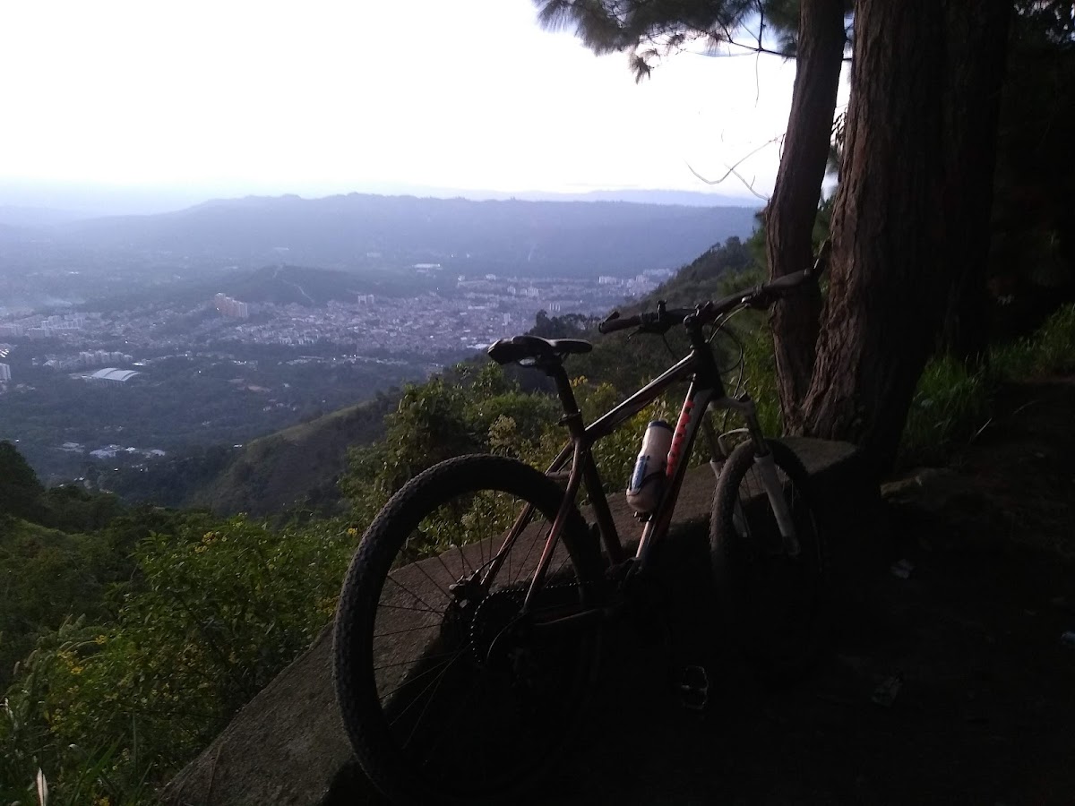 Tienda Las Amarillas - 4