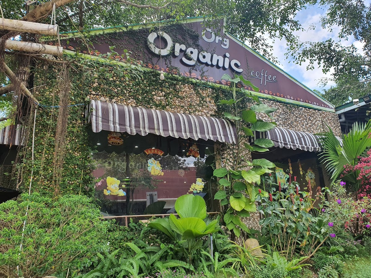 Coffee organic