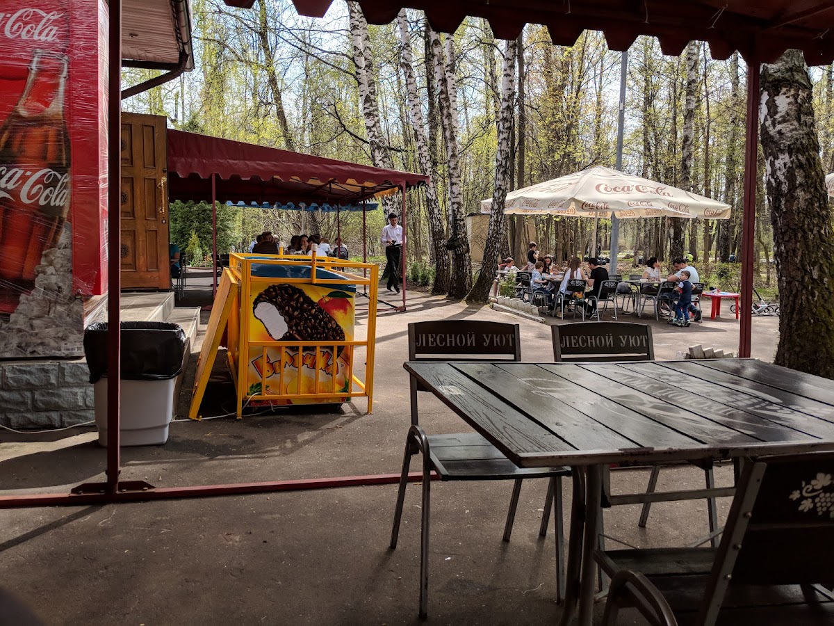 Cafe 'Forest Comfort'