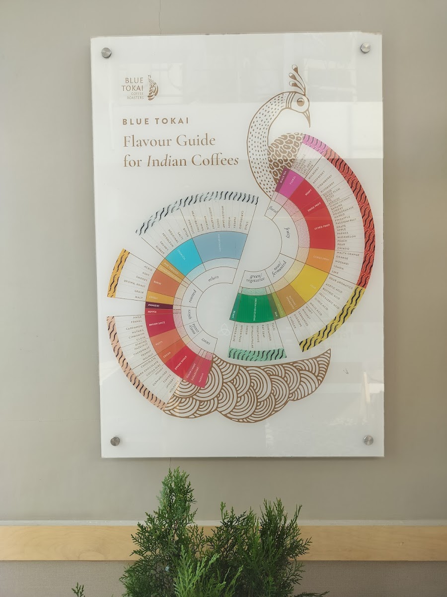 Blue Tokai Coffee Roasters | Agra - 4