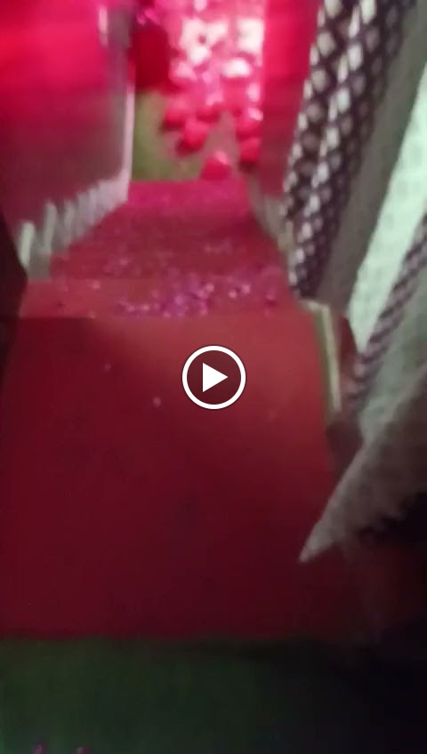 Saathi Cafe & Coffee - 5