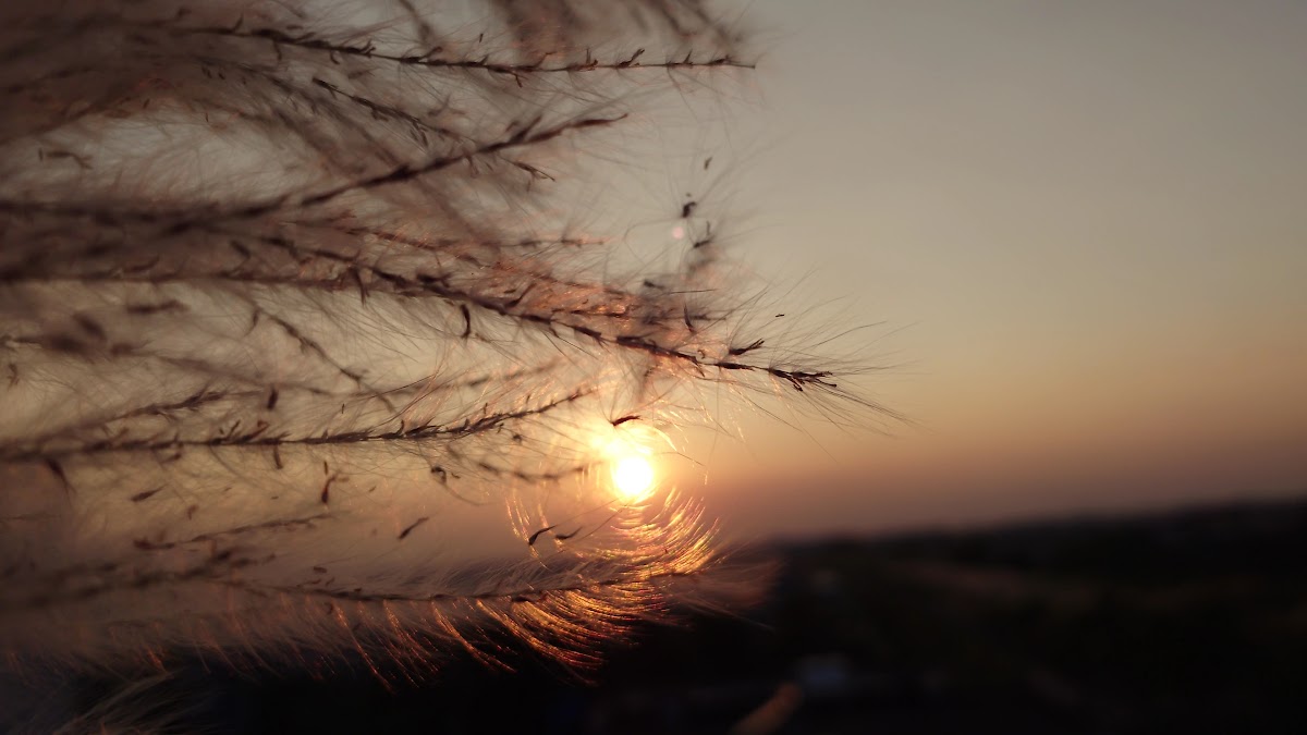 Nhà Hàng Khánh Linh - 4