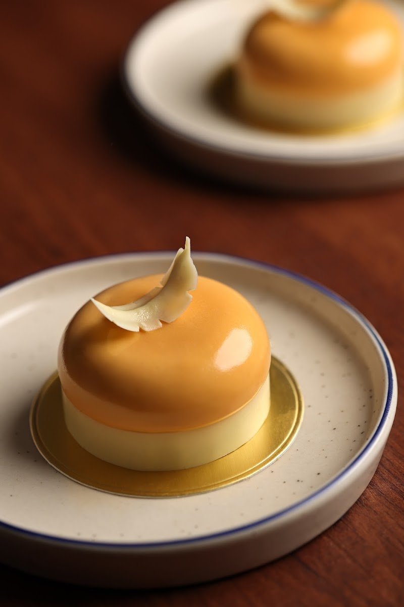 X and Y, Alipore - 2