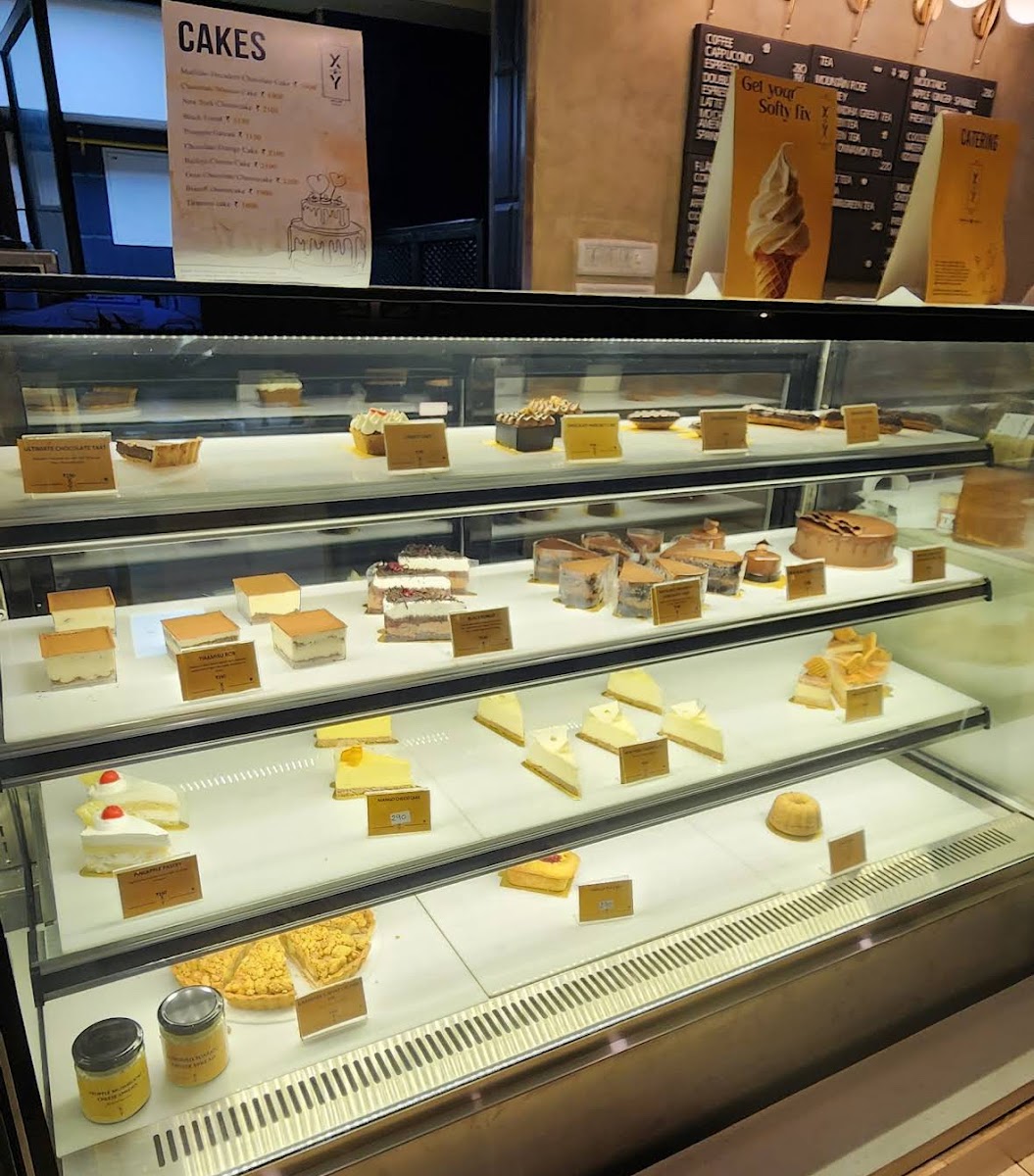 X and Y, Alipore - 3