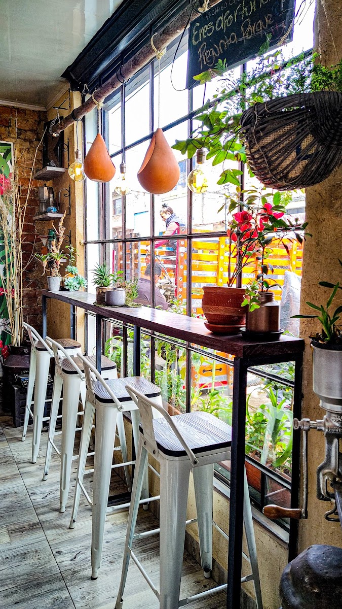 VRONX60 CAFÉ DEL RENACER