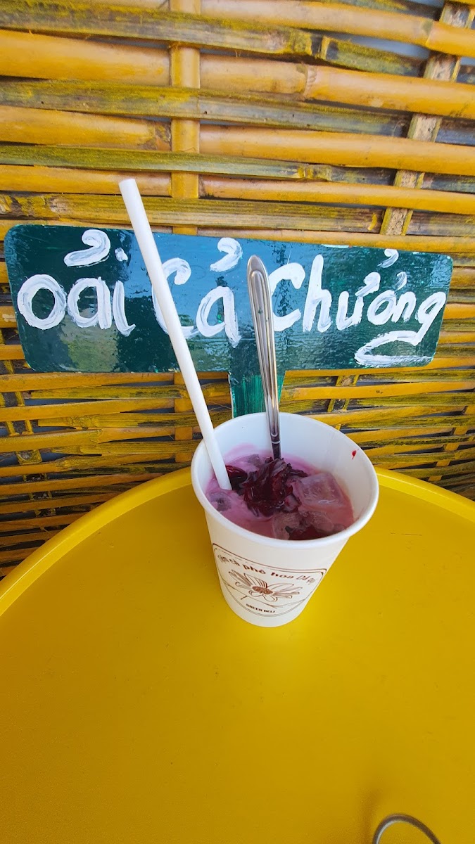 Tiệm cà phê hoa Dã quỳ - núi lửa Chư Đang Ya - 5