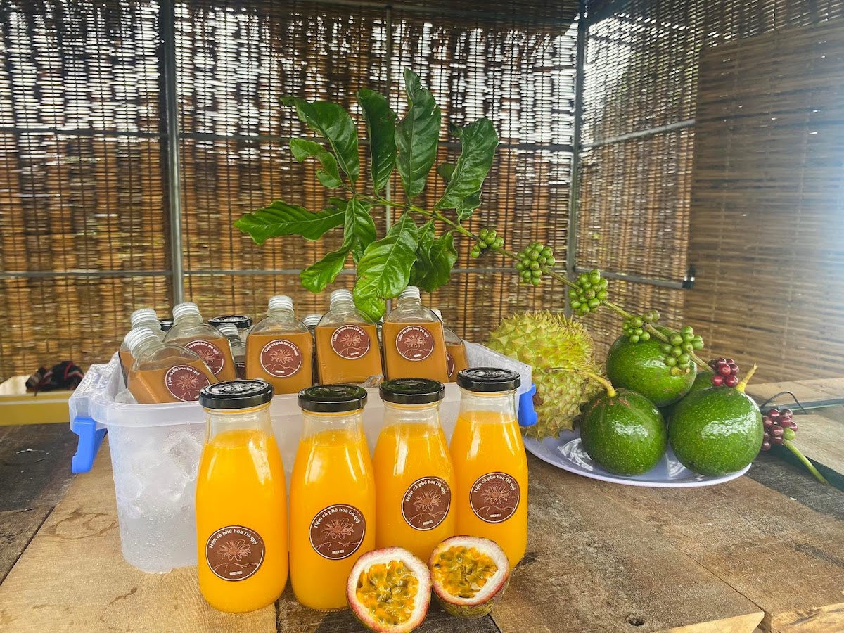 Tiệm cà phê hoa Dã quỳ - núi lửa Chư Đang Ya - 9