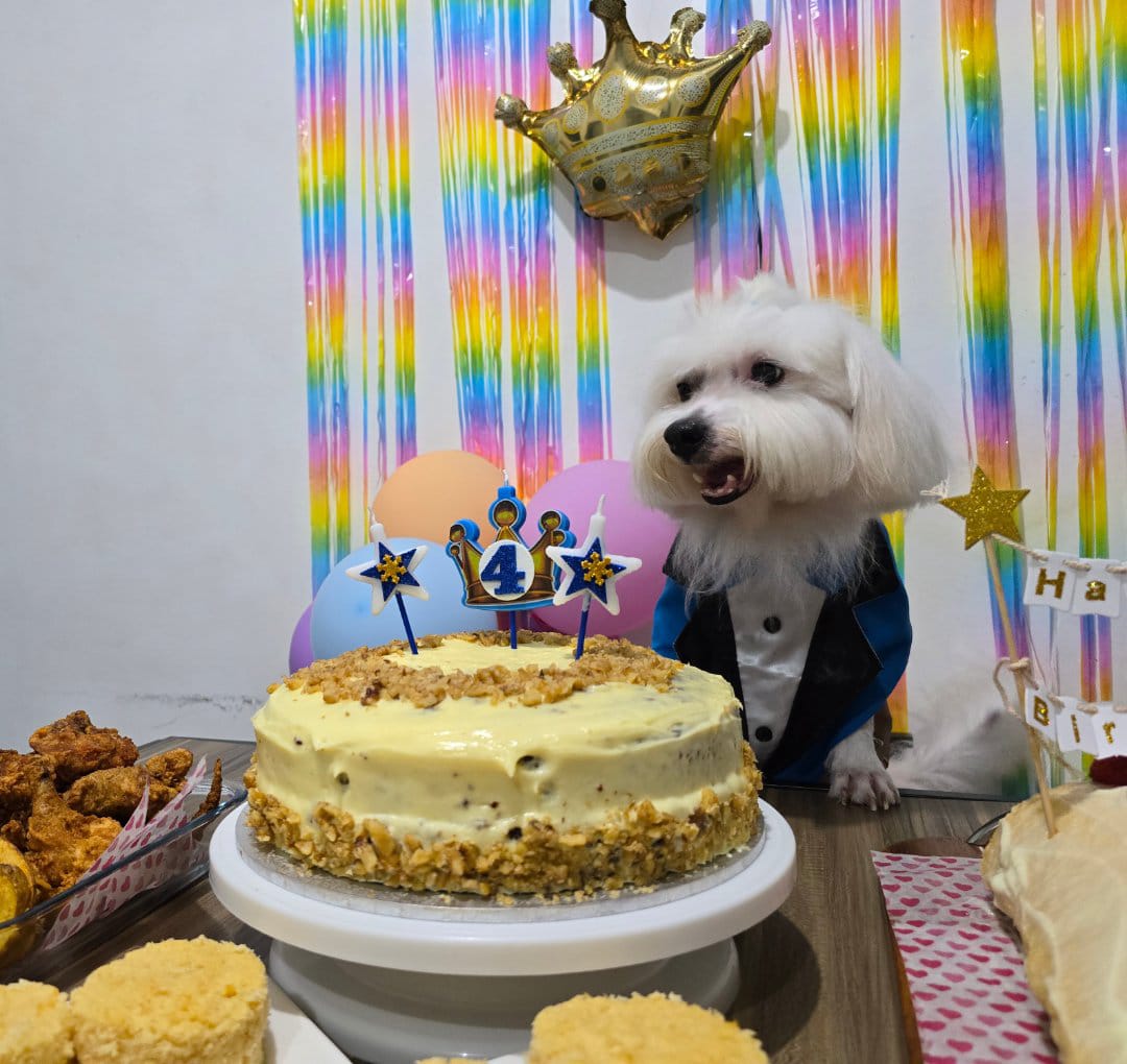 Alea Chocolates Café SM City Legazpi - 9