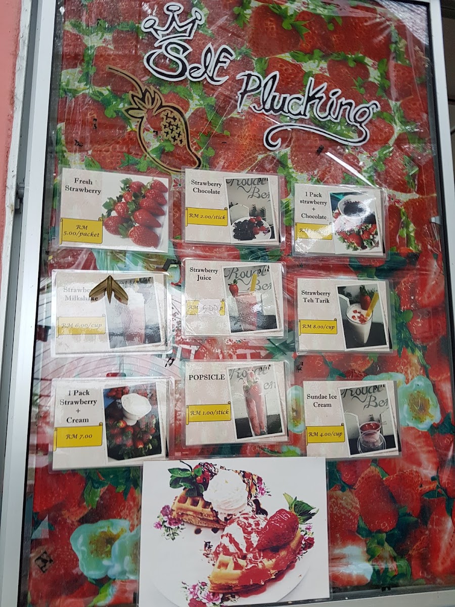 Royal Berry Strawberry Park & Cafe - 3