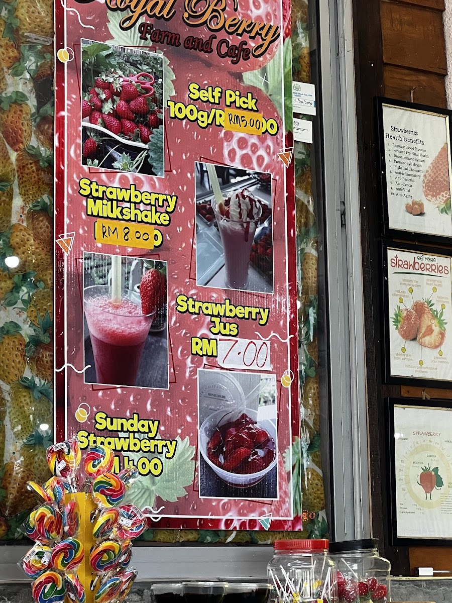 Royal Berry Strawberry Park & Cafe - 8