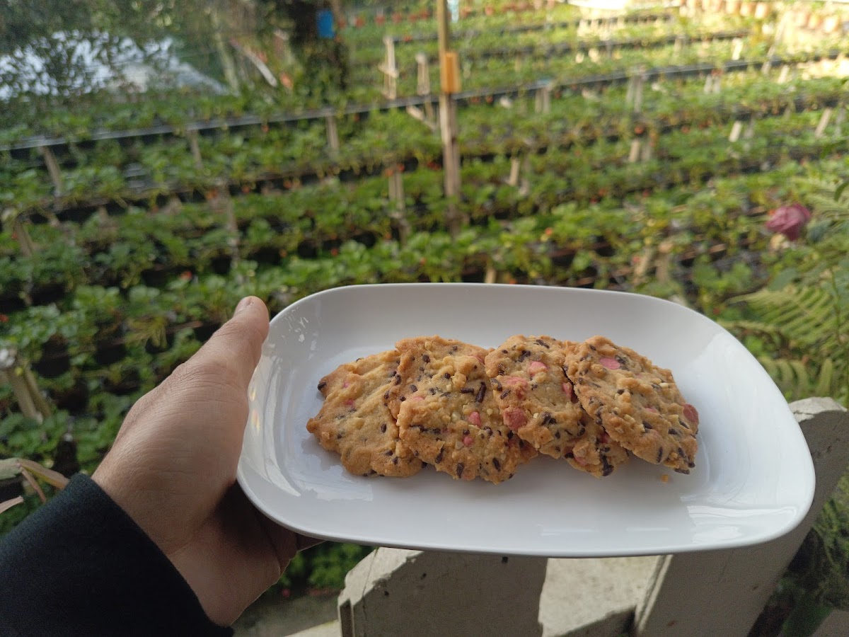 Royal Berry Strawberry Park & Cafe - 10