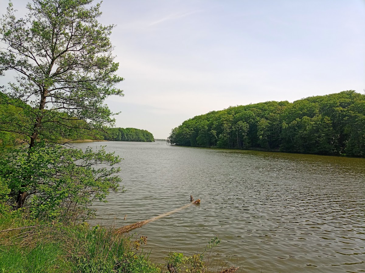 Kawiarnia 'COS' Olimpijska - 3