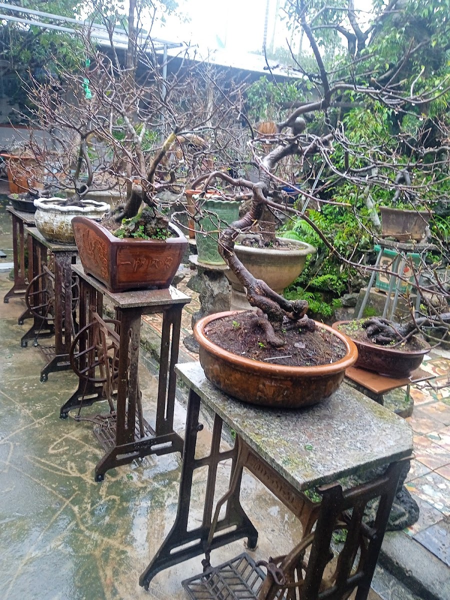 Cafe Chùm Khế Ngọt - 6