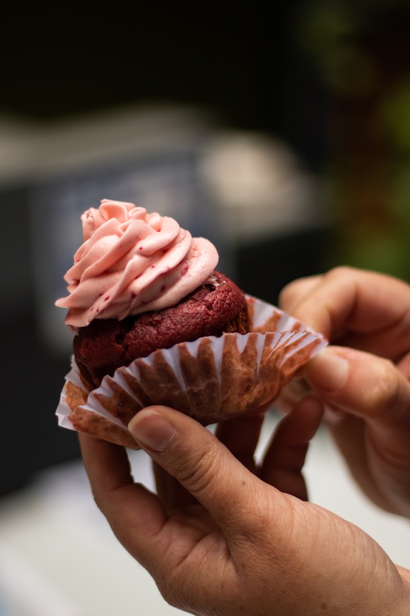 La Vianda - Cocaví regional - 4