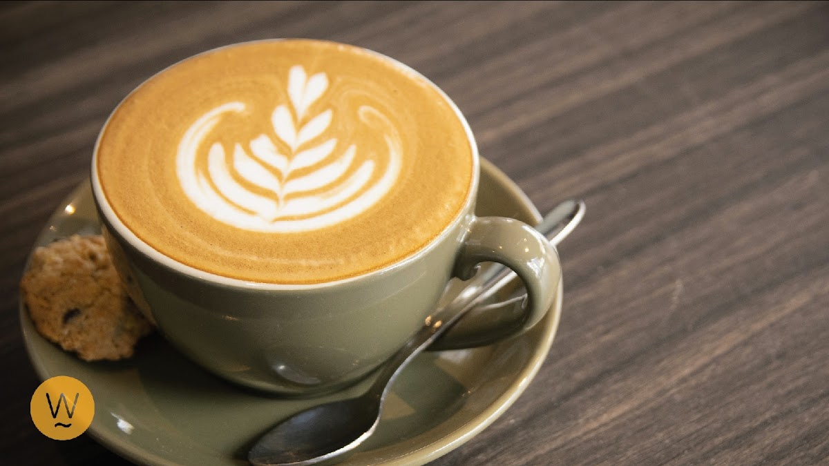 The Well Gallery Cafe - 3